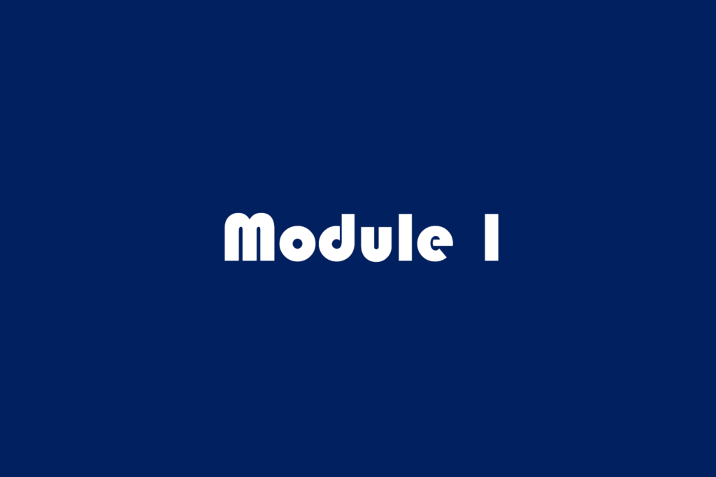 module 1