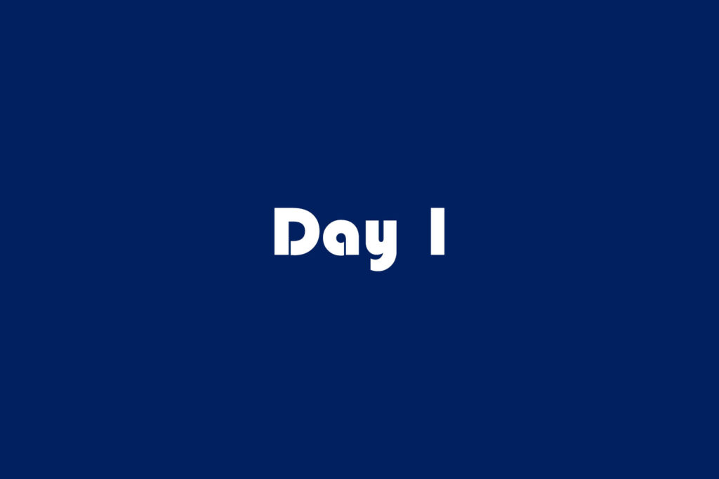 day 1